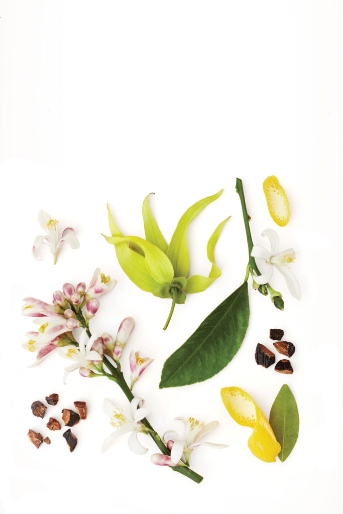 A composition of assorted flowers and leaves arranged creatively on a white background. - K. Charles & Co. in Schertz, TX