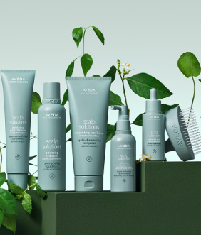 A collection of Aveda Scalp Solutions hair care products displayed with green leaves, including shampoo, conditioner, serum, and scalp brush, all in pale green packaging. - K. Charles & Co. in Schertz, TX