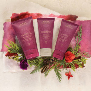 Three aveda candrimā body care products arranged with pine cones and colorful flowers on a textured background. - K. Charles & Co. in Schertz, TX