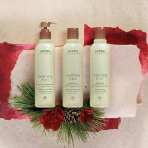 Three aveda rosemary mint products, including shampoo and lotion, displayed on a torn red and white paper background with pine accents. - K. Charles & Co. in Schertz, TX