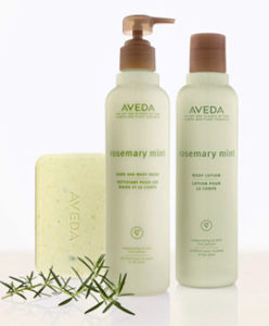 Two aveda rosemary mint products with a soap bar, lotion dispenser, and shampoo bottle, accompanied by fresh rosemary sprigs on a white background. - K. Charles & Co. in Schertz, TX