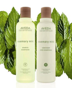 Two bottles of aveda rosemary mint shampoo and conditioner flanked by green leaves on a white background. - K. Charles & Co. in Schertz, TX