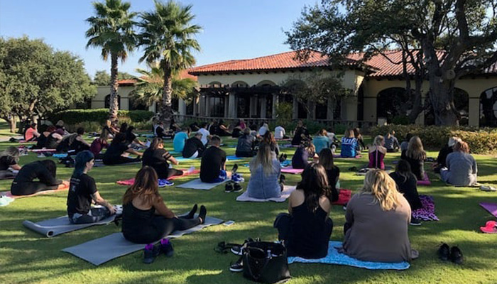 Group of people participating in an outdoor yoga class on a sunny day, with mats spread out on the grass in front of a large building, showcasing diverse hairstyles. - K. Charles & Co. in Schertz, TX