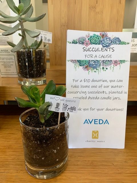 A small potted succulent on a wooden table with a sign behind it promoting "succulents for a cause" for a $10 donation at an aveda store. - K. Charles & Co. in Schertz, TX